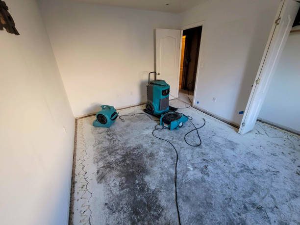 Best Flood restoration services  in Pleasantville, IA