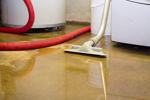 Best Flood damage cleanup  in Pleasantville, IA