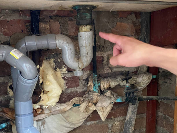 Best Water damage restoration insurance claims  in Pleasantville, IA