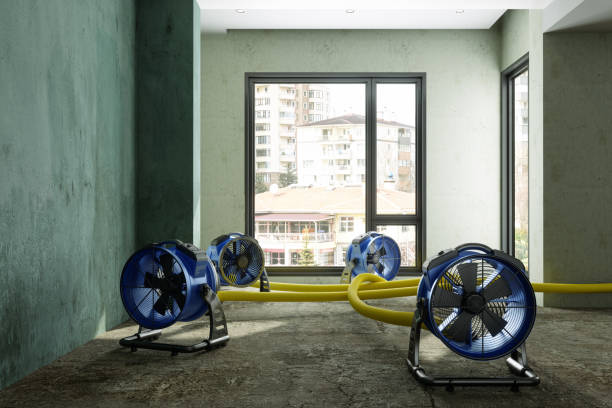 Best 24/7 water damage repair  in Pleasantville, IA
